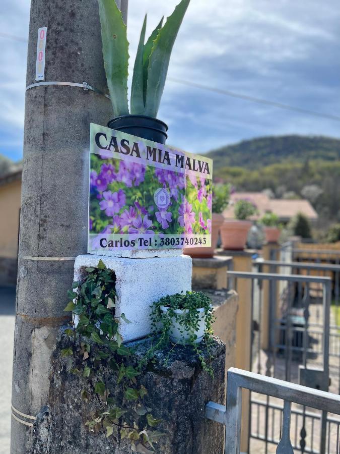 شقة Casa Mia Malva ريكو ديل غولفو دي سبيزيا المظهر الخارجي الصورة